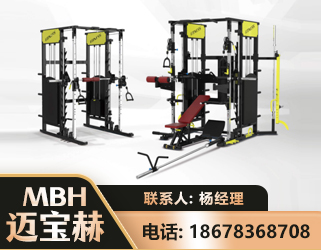 衡水多功能综合训练器