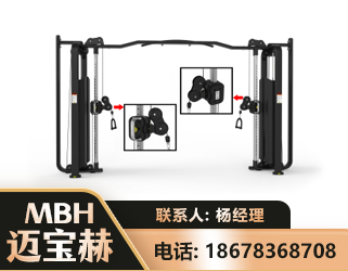 衡水大飞鸟训练器