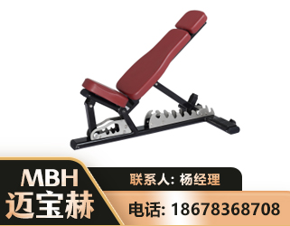 衡水可调哑铃椅