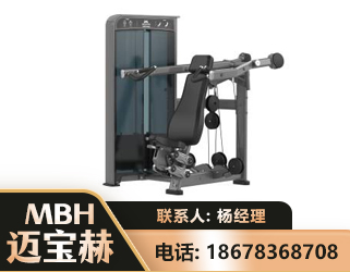 衡水肩部推举训练器
