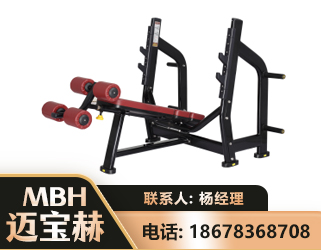 衡水豪华下斜卧推架