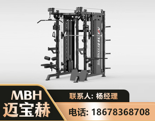 衡水三合一综合训练架